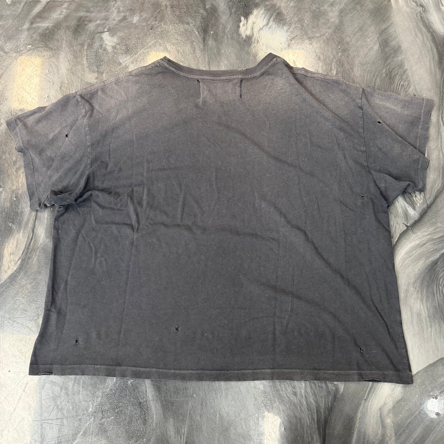 Paly Hollywood Larry Fortenksy Washed Tee