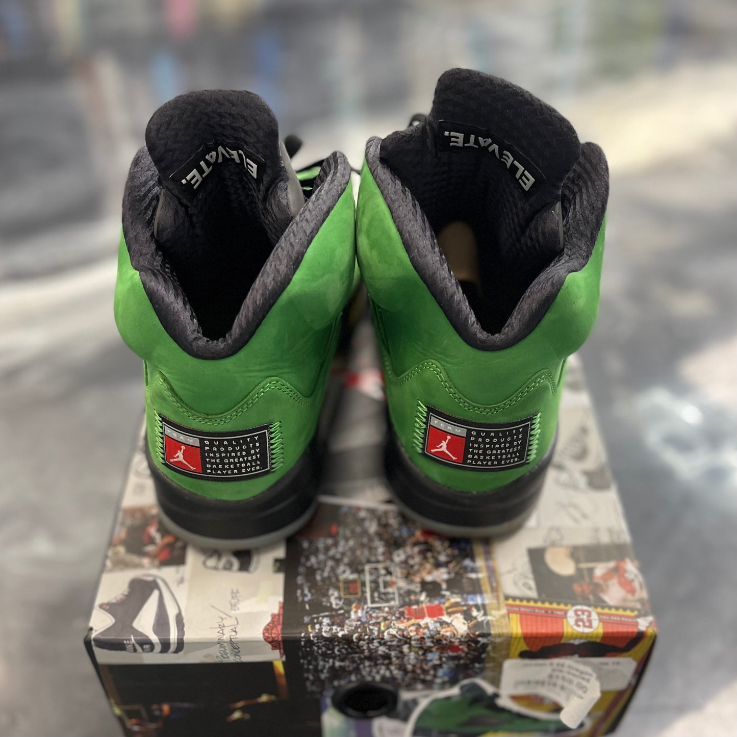 Jordan 5 Retro SE Oregon