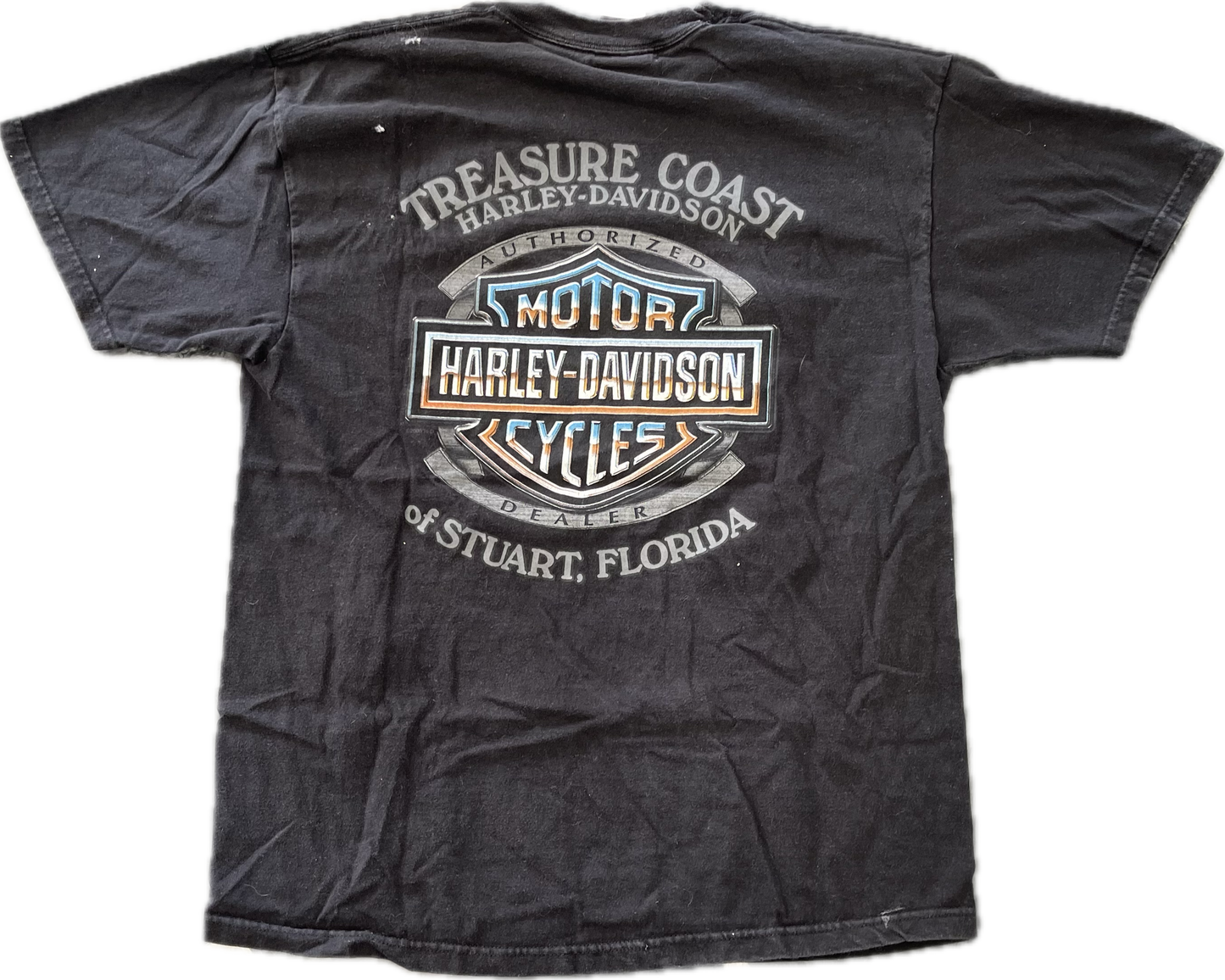 Vintage Harley Davidson “Skull With Wings” T Shirt
