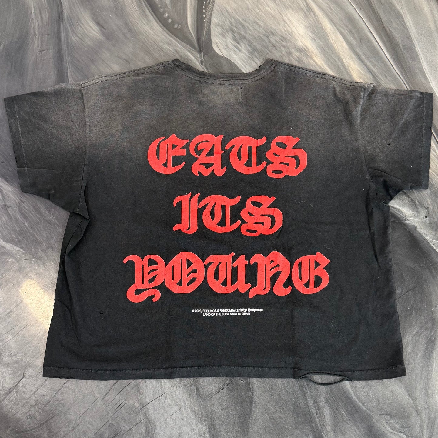 Paly Hollywood Endangered Youth Tee