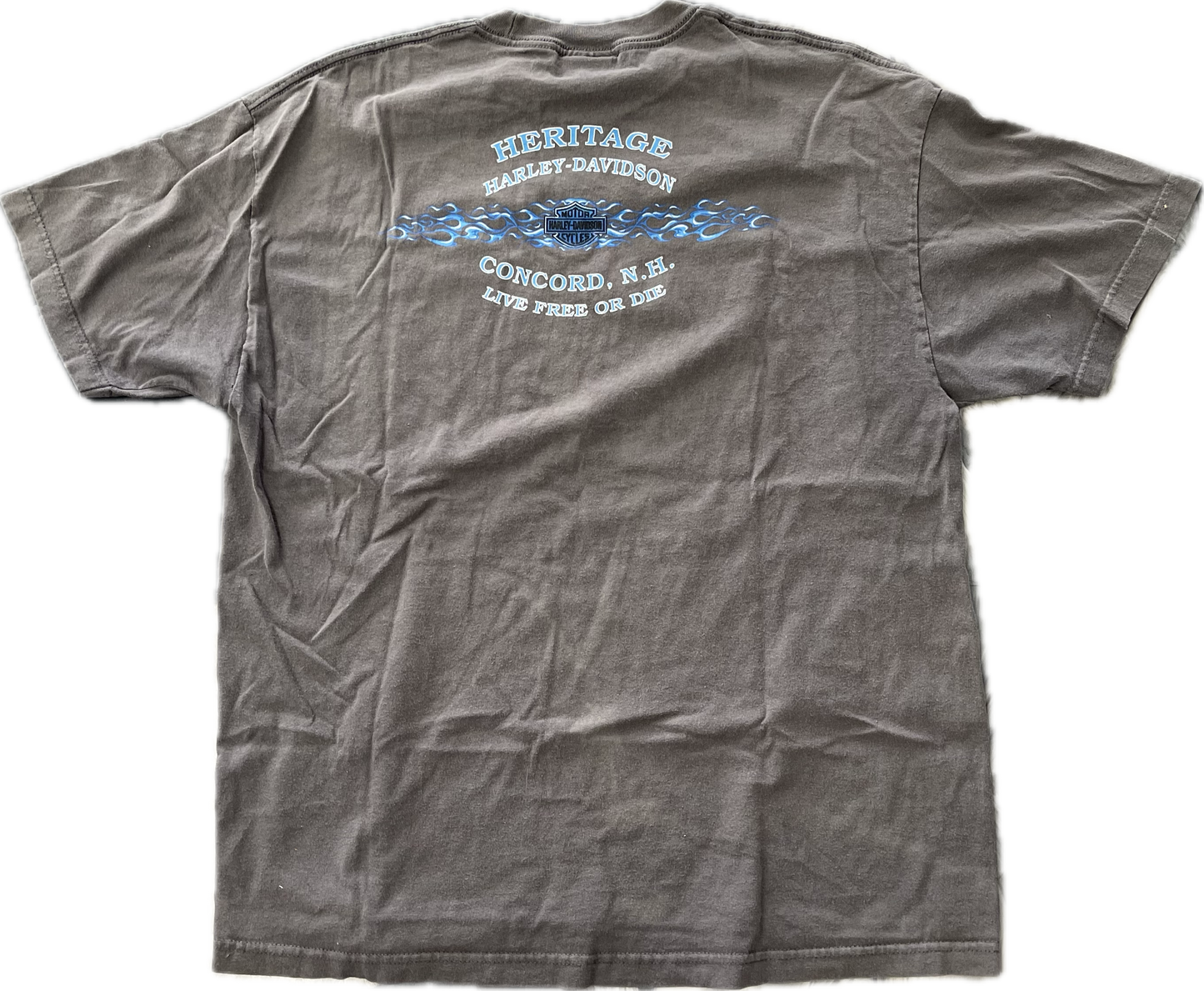 Vintage Harley Davidson Colorado Blue Flame T-Shirt