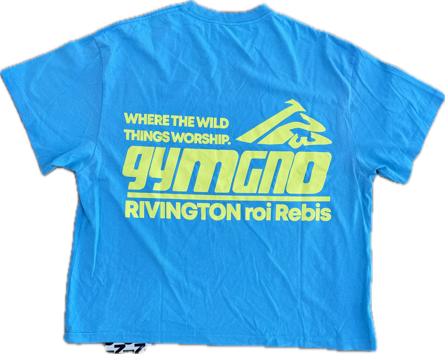RRR-123 USO GYMNOSTIC TEE Blue/Green