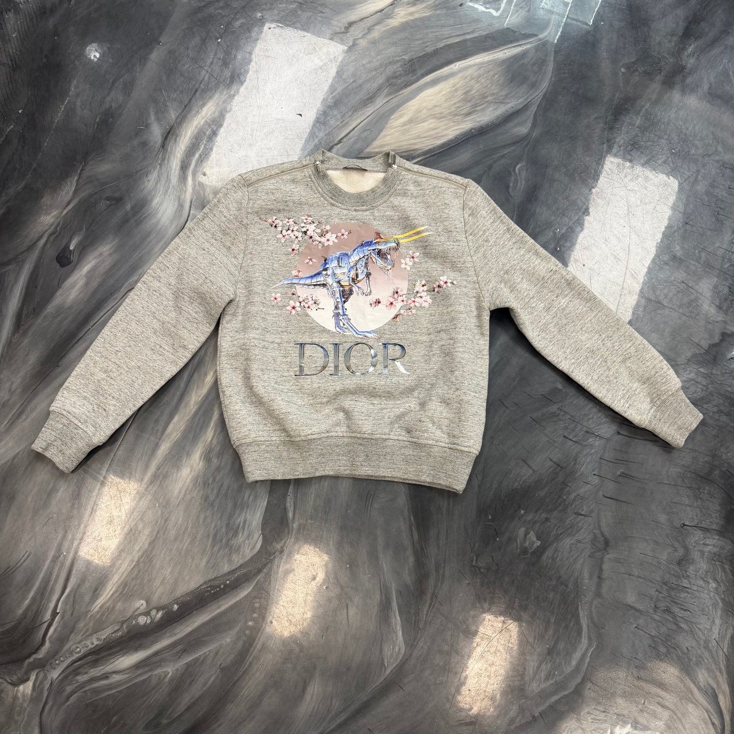 Dior x Sorayama Tyrannosaurus Rex Cherry Blossom crewneck