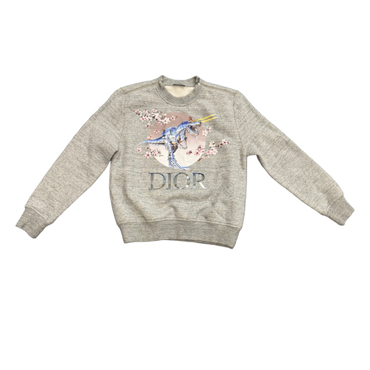 Dior x Sorayama Tyrannosaurus Rex Cherry Blossom crewneck
