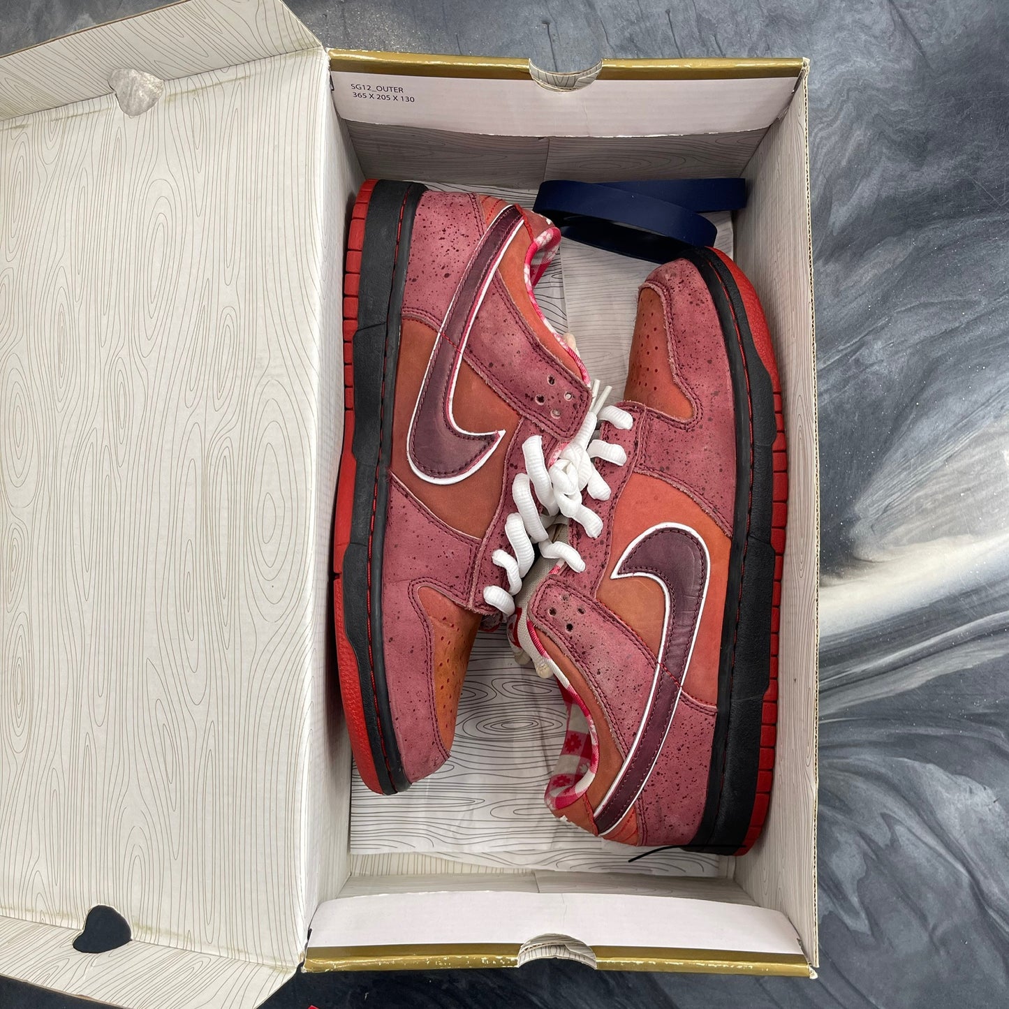 Nike Sb Red Lobster (USED)