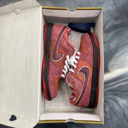 Nike Sb Red Lobster (USED)