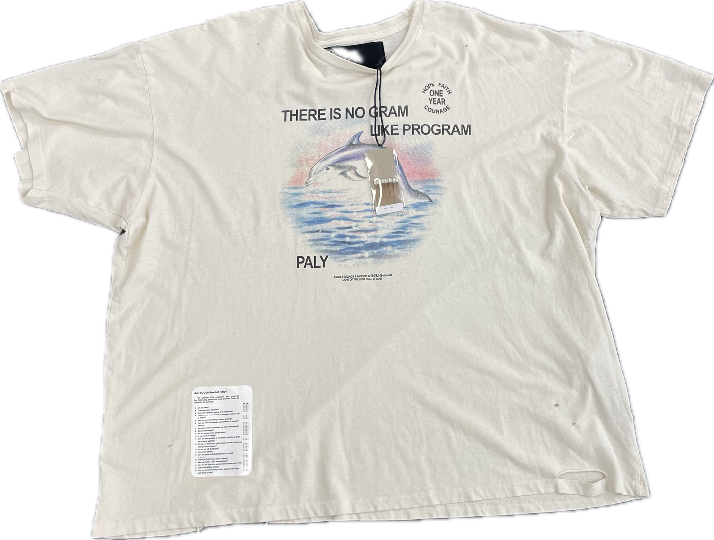 Paly Program T-Shirt