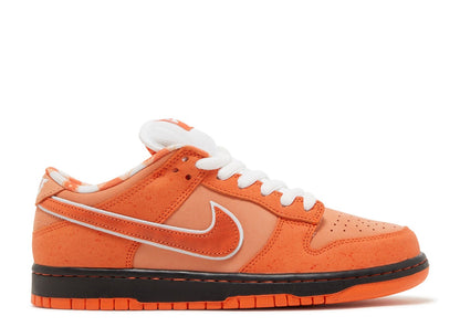 Concepts X Dunk Low SB 'Orange Lobster' (TRIED ON)