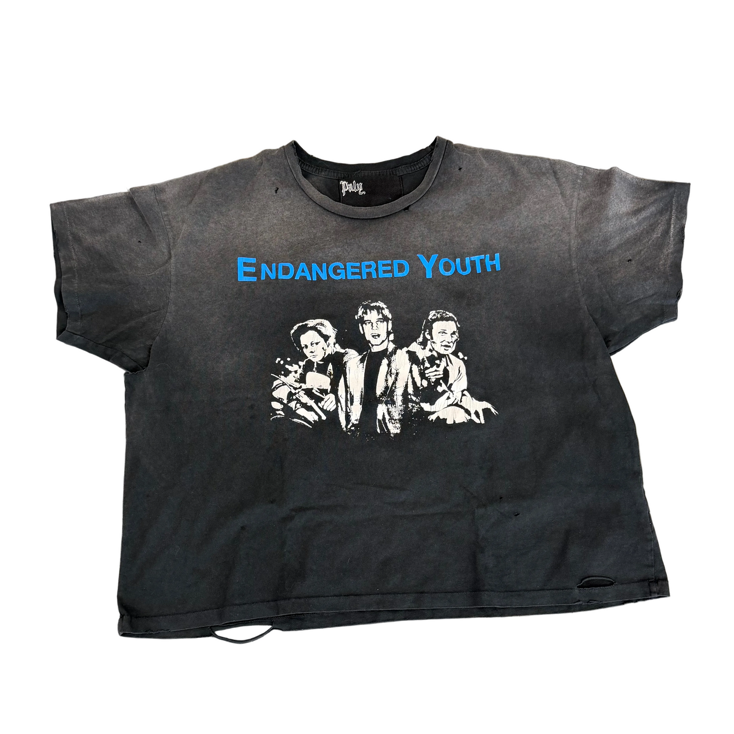 Paly Hollywood Endangered Youth Tee