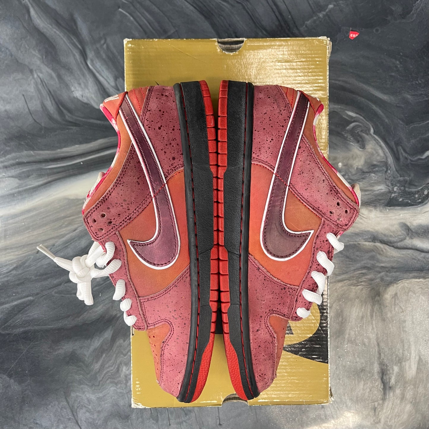 Nike Sb Red Lobster (USED)