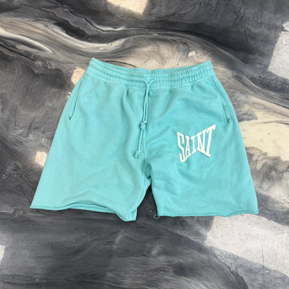 Saint Mxxxxxx Saint Shorts Blue