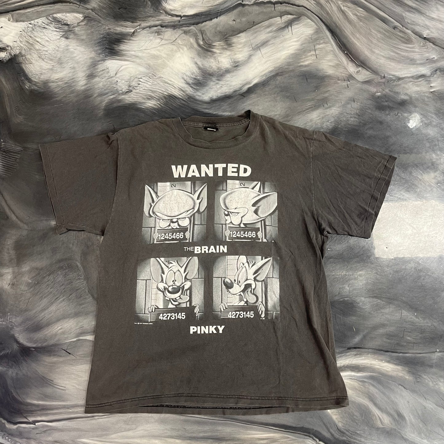 1998 “Wanted” Pinky and the Brain Vintage Tee