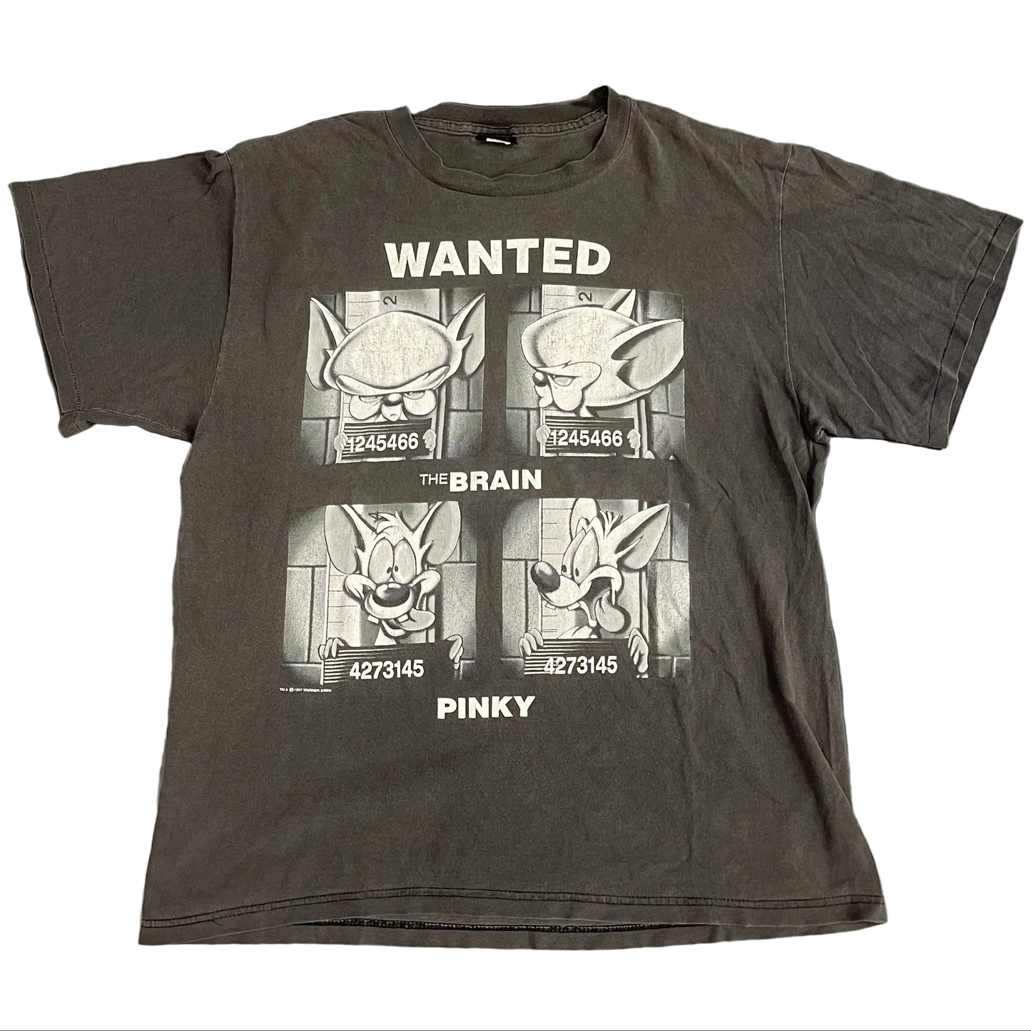 1998 “Wanted” Pinky and the Brain Vintage Tee