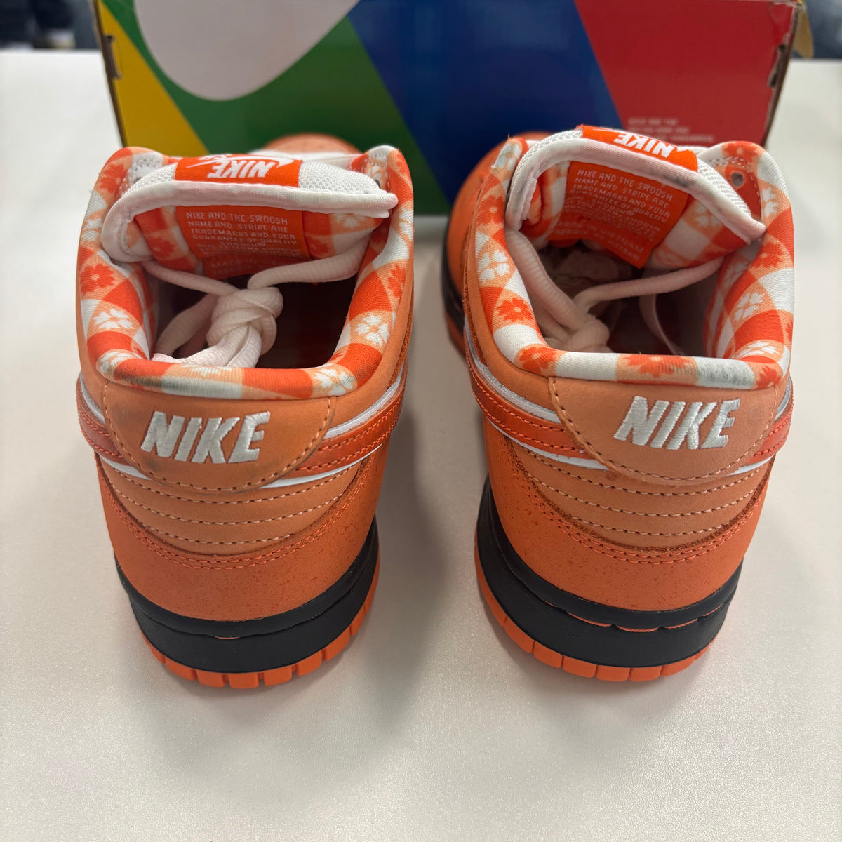Concepts X Dunk Low SB 'Orange Lobster' (TRIED ON)