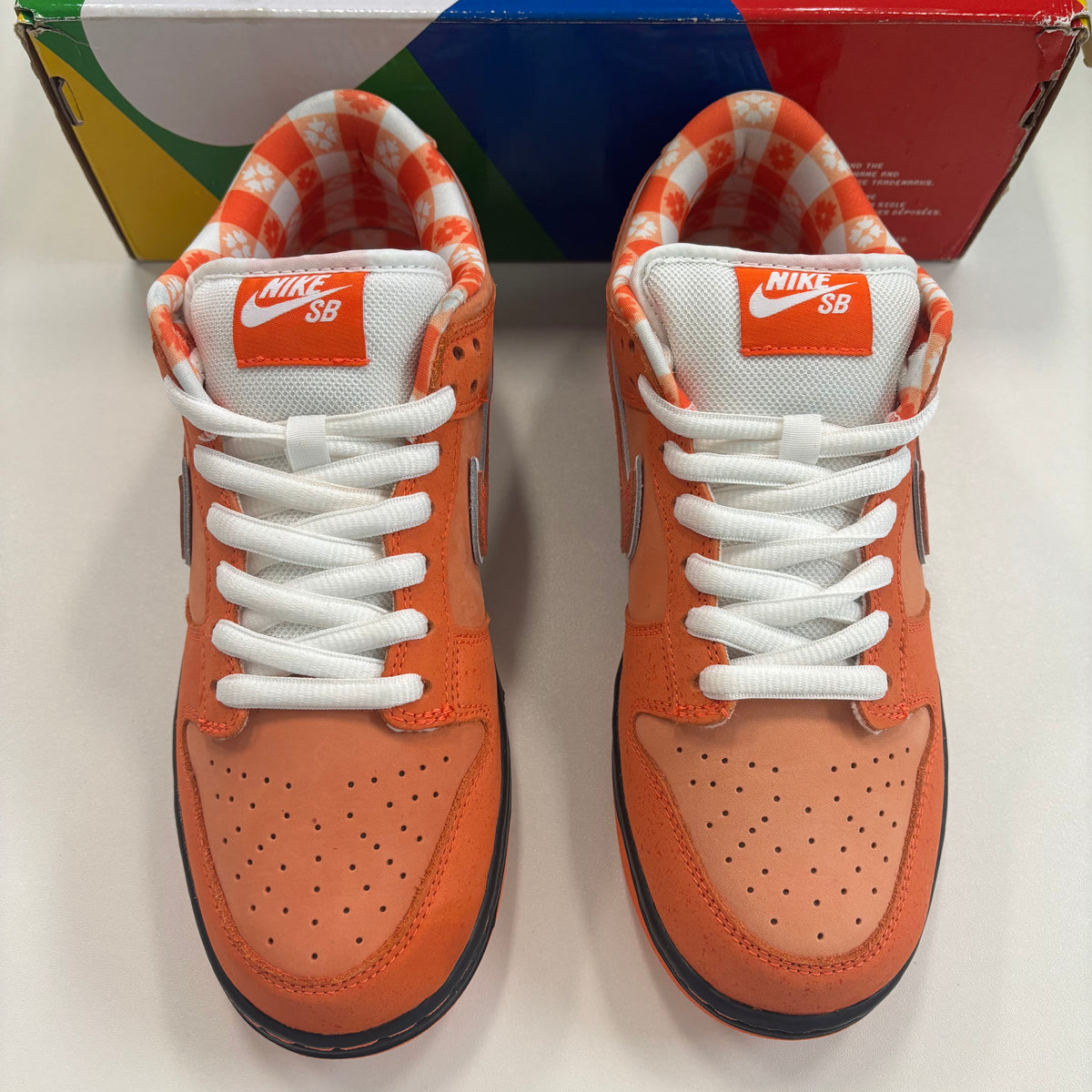 Concepts X Dunk Low SB 'Orange Lobster' (TRIED ON)