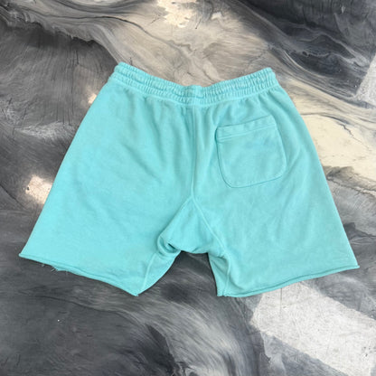 Saint Mxxxxxx Saint Shorts Blue