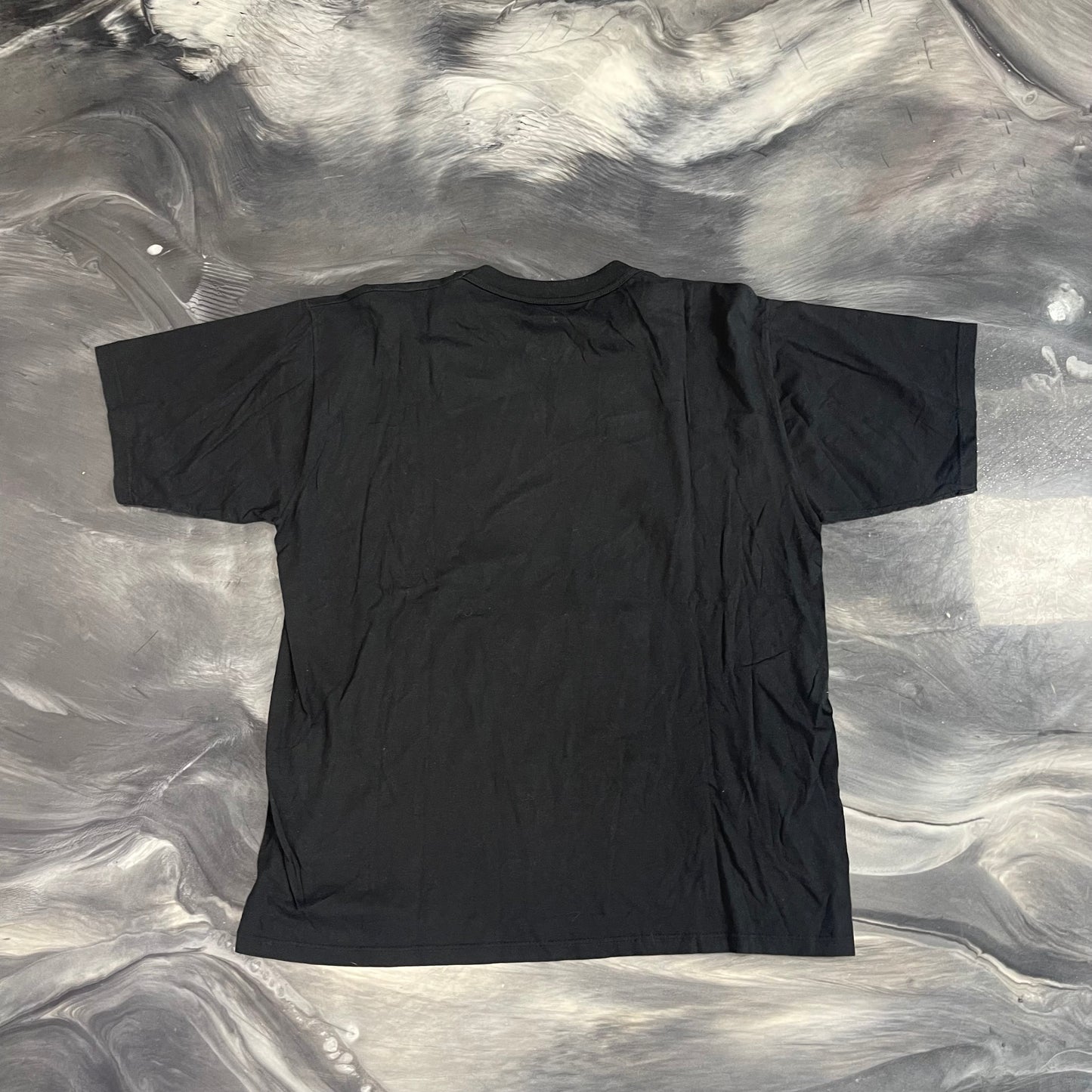 1999 NWO/WCW Scott Hall Kevin Nash "Together Again Run With The Pac"