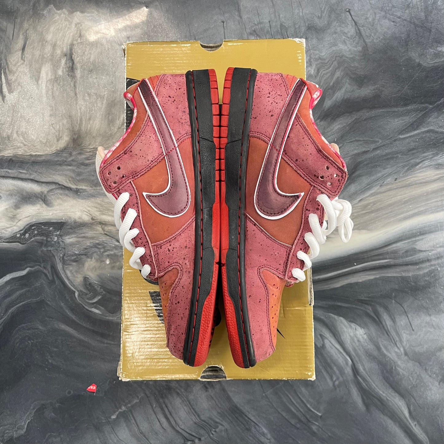 Nike Sb Red Lobster (USED)