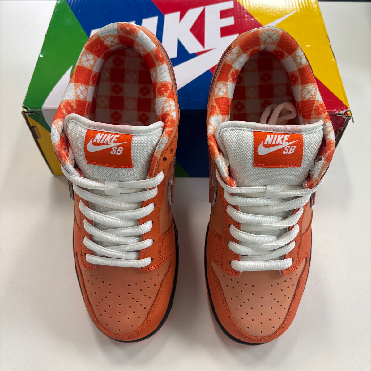 Concepts X Dunk Low SB 'Orange Lobster' (TRIED ON)