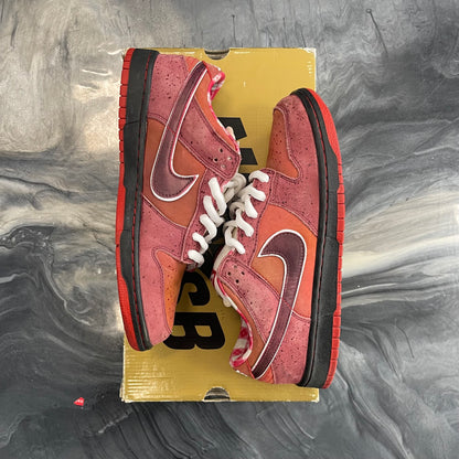 Nike Sb Red Lobster (USED)