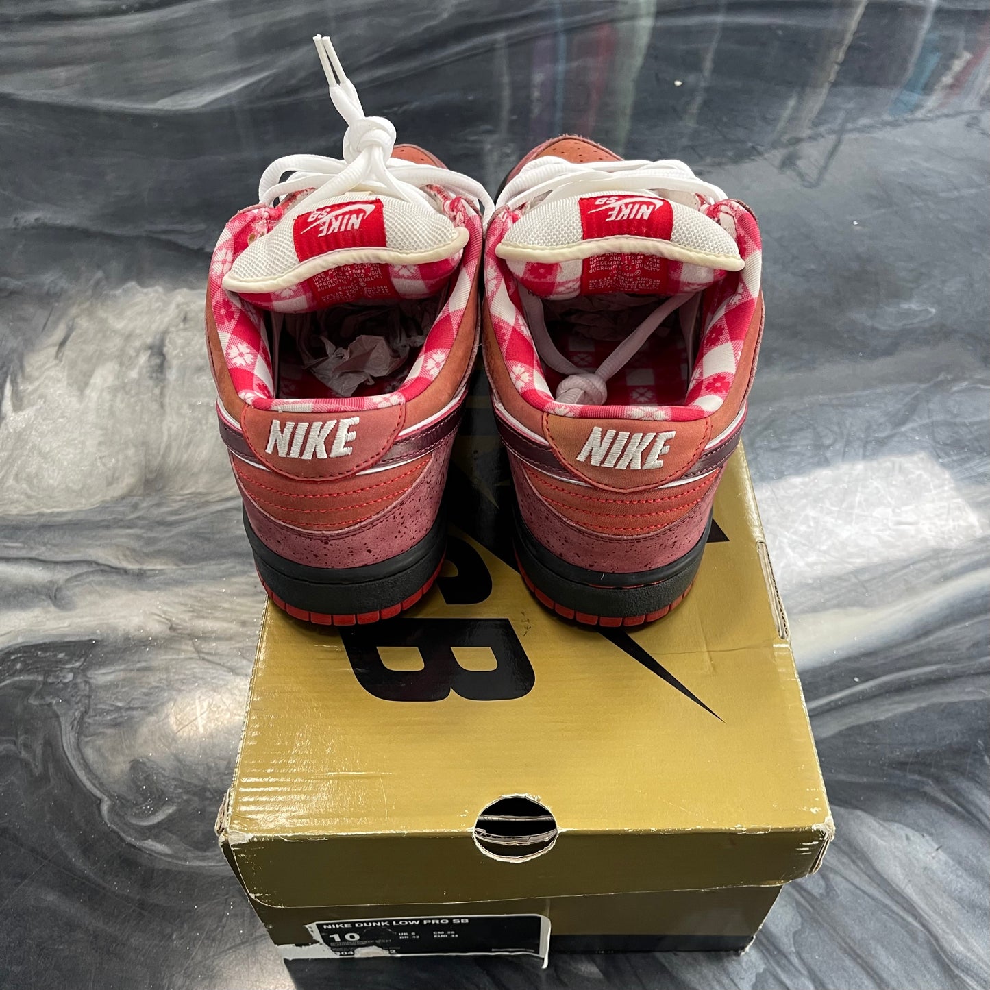 Nike Sb Red Lobster (USED)