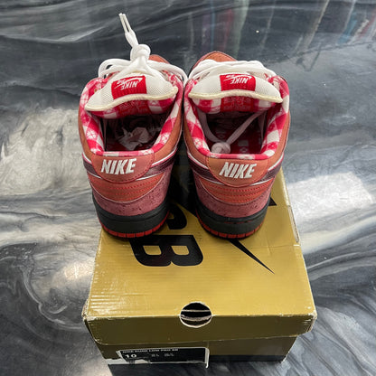 Nike Sb Red Lobster (USED)