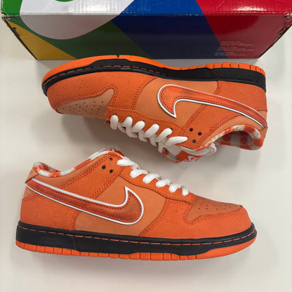 Concepts X Dunk Low SB 'Orange Lobster' (TRIED ON)