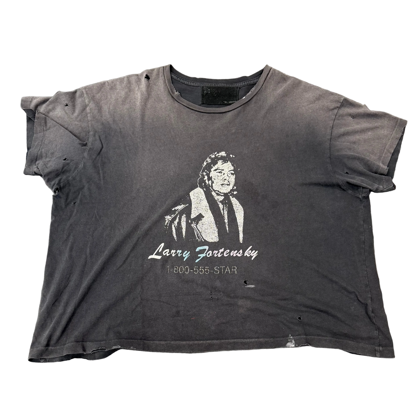 Paly Hollywood Larry Fortenksy Washed Tee