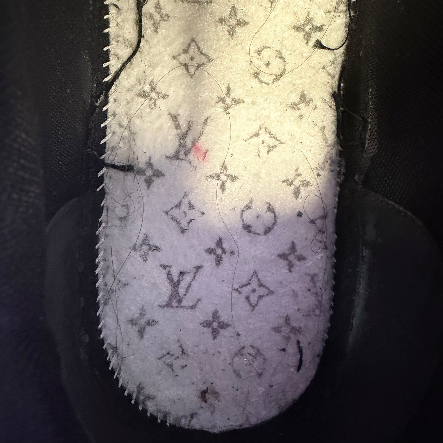 Louis Vuitton LV Trainer Sneakers black monogram (USED) (NO BOX)