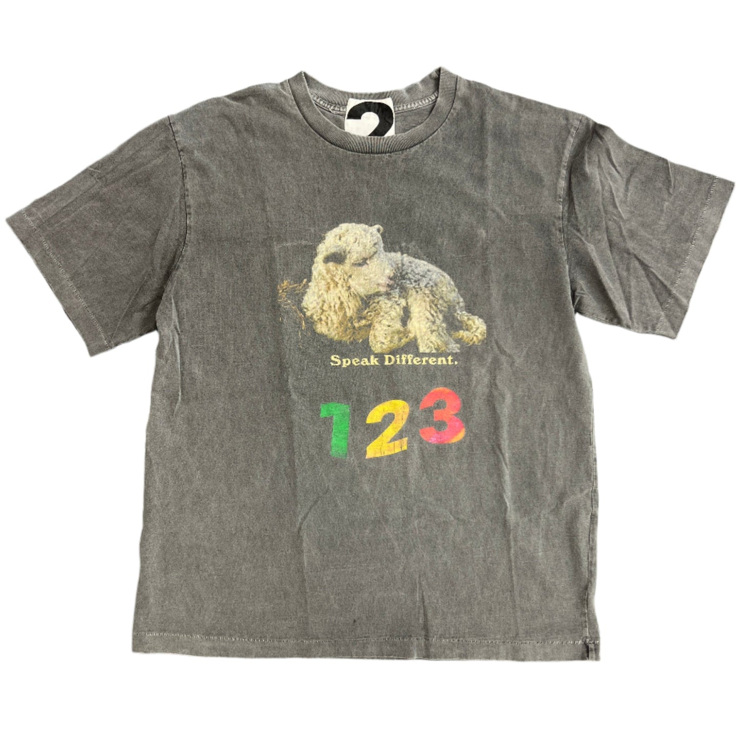 RRR-123 Speaking Different Tee