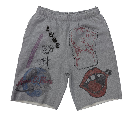 AMIS ET FLEURS LSD SHORTS GREY
