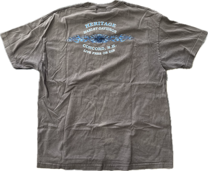 Vintage Harley Davidson Colorado Blue Flame T-Shirt