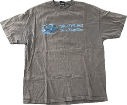 Vintage Harley Davidson Colorado Blue Flame T-Shirt