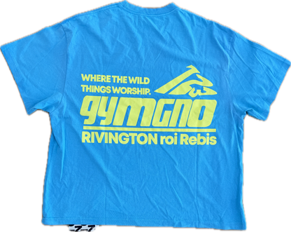 RRR-123 USO GYMNOSTIC TEE Blue/Green